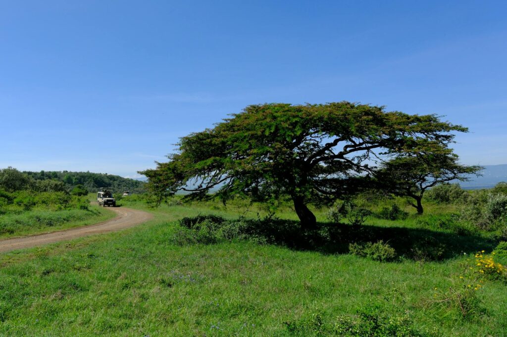 Illustration of Kenya 10 Day Itinerary: The Ultimate Safari, Cities & Stunning Coast