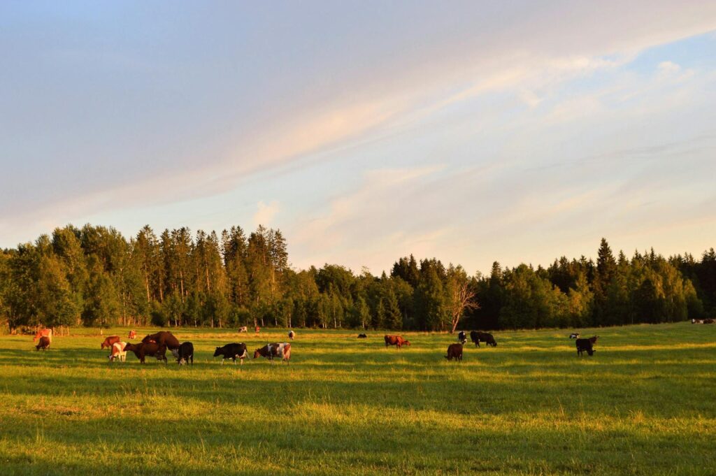 Illustration of Sweden Summer Travel: Stunning Midnight Sun Islands and Midsommar Magic