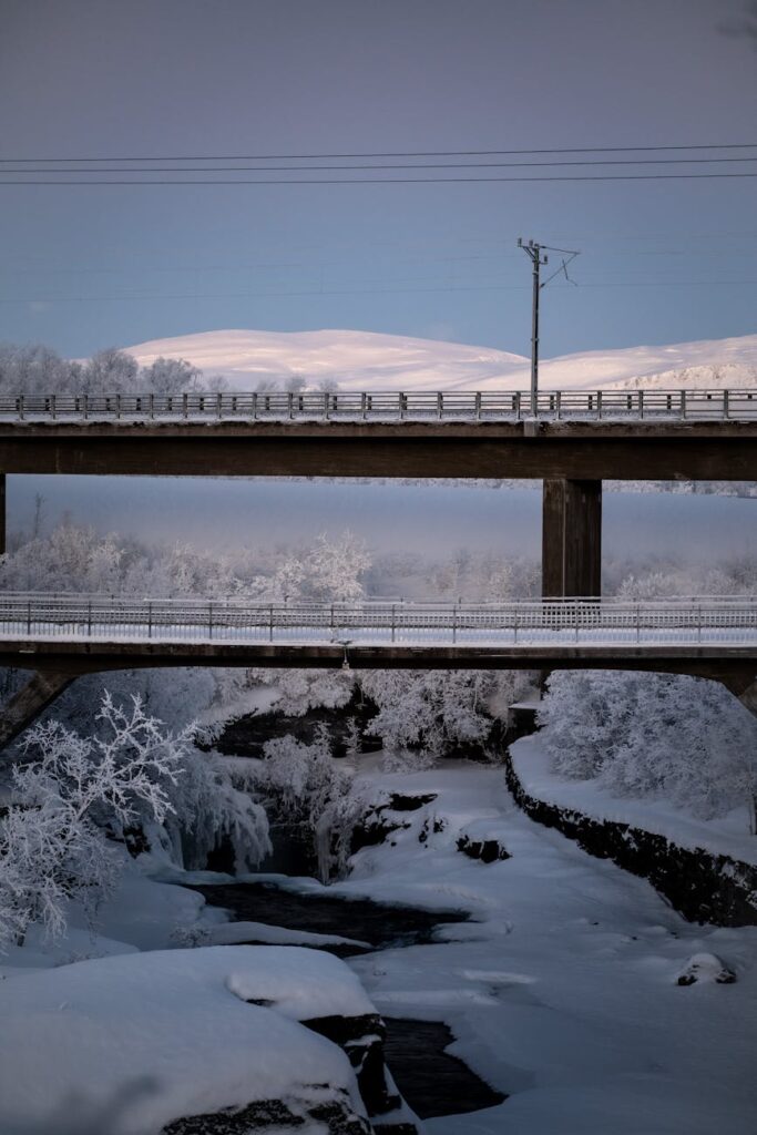 Illustration of Swedish Lapland Travel Guide: Stunning Dog Sledding, Saunas & Aurora Magic
