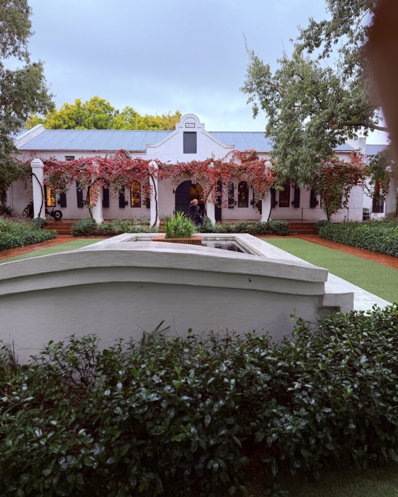 A whitewashed Cape Dutch homestead draped in red creeper on a wine estate near Paarl
