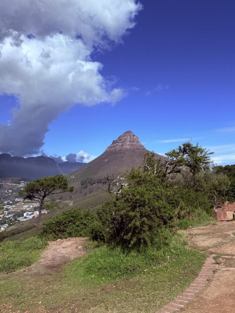 Lion's Head seen from the walking paths on Signal Hill, a favourite Cape Town sunset spot