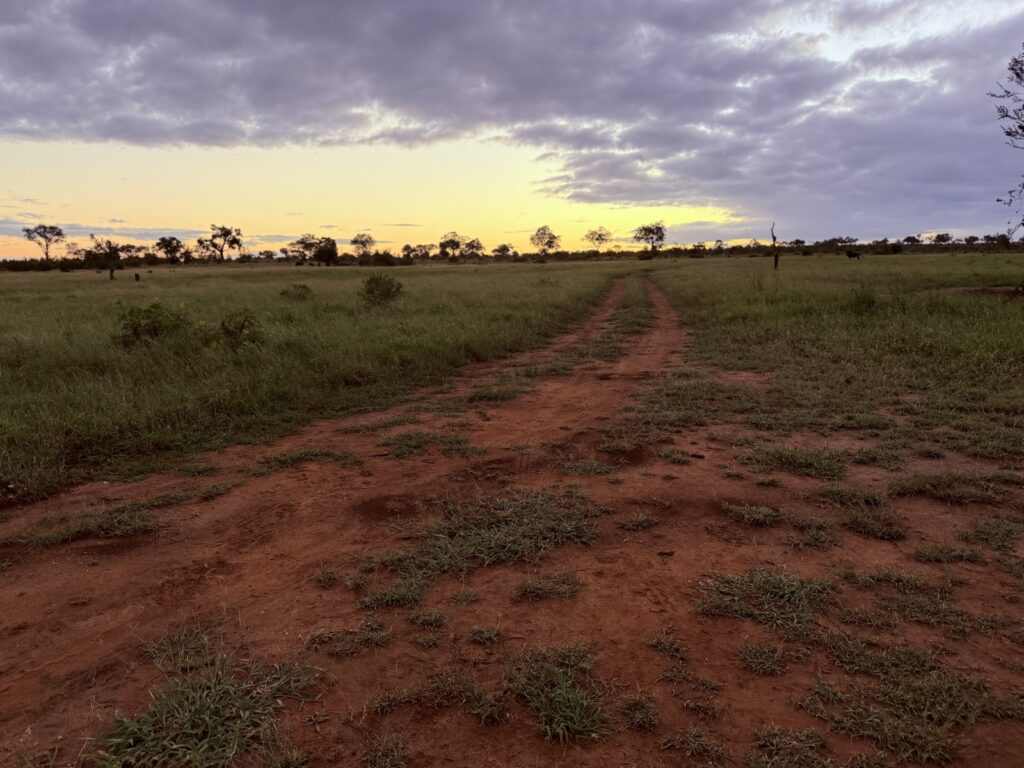 Sunset over the bush and a red-earth track at the end of an afternoon game drive in the Sabi Sands